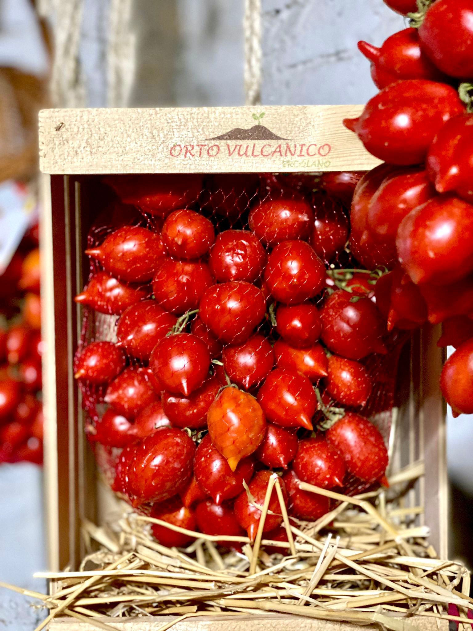 ceppa pomodori vesuvio cassetta ceppa pomodori vesuvio cassetta