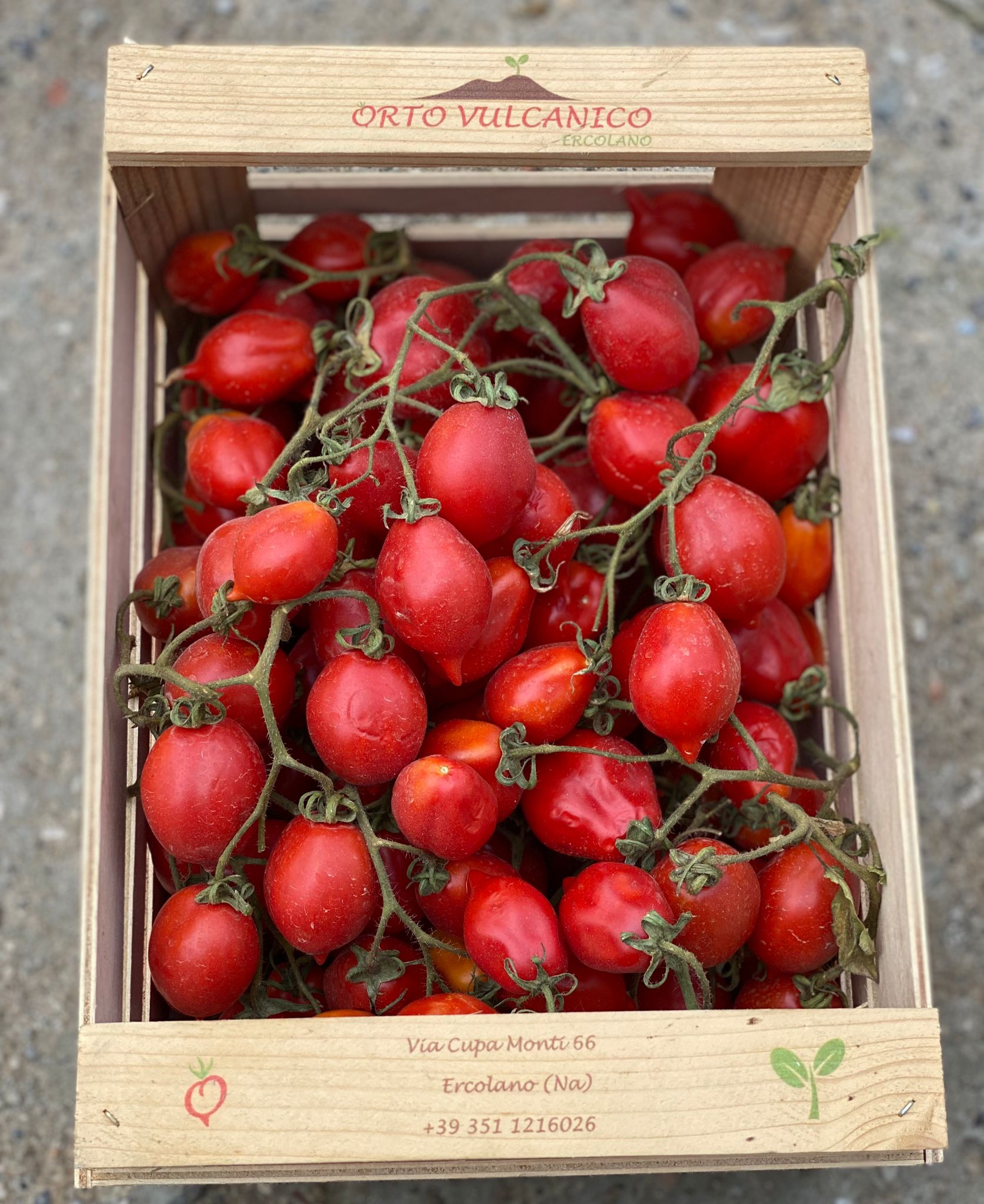 pomodori vesuvio cassetta pomodori vesuvio cassetta